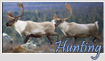 Hunting
